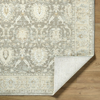 Livabliss Lotus LOT-2306-Taupe-Ivory-Silver-Beige Area Rug Pile