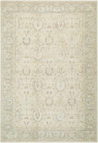 Livabliss Lotus LOT-2308 The Prominent Colors In Rug Are:-Sandstone-Sage-Ivory-Taupe Area main image