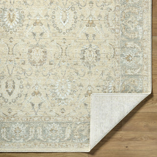 Livabliss Lotus LOT-2308 The Prominent Colors In Rug Are:-Sandstone-Sage-Ivory-Taupe Area 