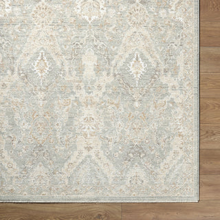 Livabliss Lotus LOT-2309 Pewter Area Rug 