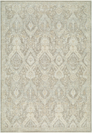 Livabliss Lotus LOT-2311 Taupe Area Rug main image