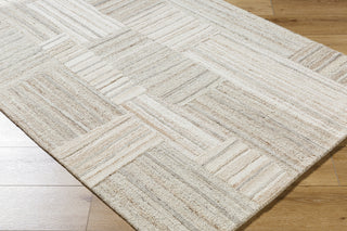 Livabliss La Puna LPN-2305 Ash Area Rug