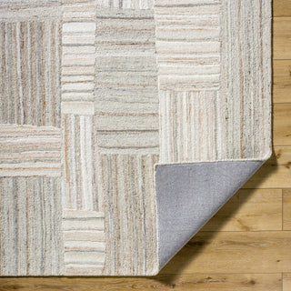 Livabliss La Puna LPN-2305 Ash Area Rug