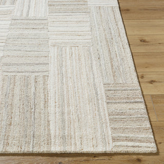 Livabliss La Puna LPN-2305 Ash Area Rug