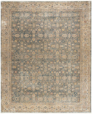 Nourison Luxurious LRS03 Ivory Blue Area Rug main image