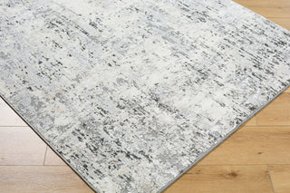 Livabliss Lustro LSR-2329 Light Gray Area Rug Corner Shot
