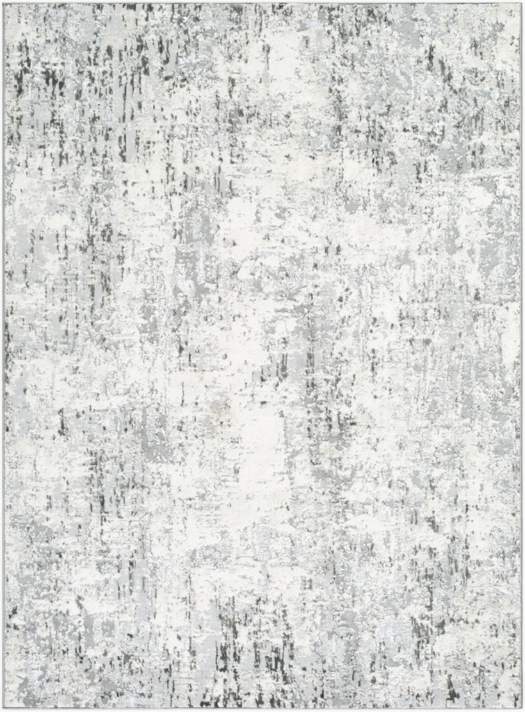Livabliss Lustro LSR-2329 Light Gray Area Rug main image