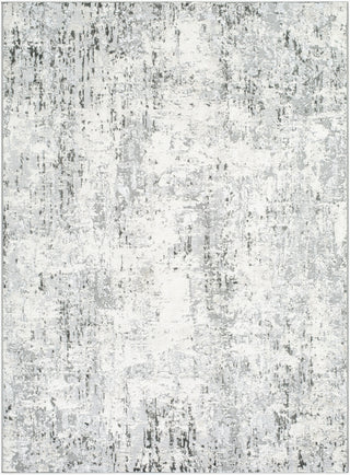 Livabliss Lustro LSR-2329 Light Gray Area Rug main image