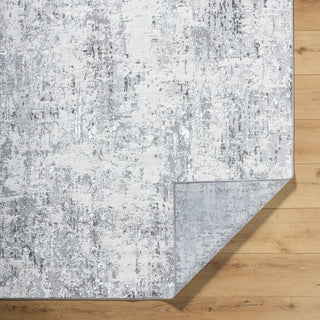 Livabliss Lustro LSR-2329 Light Gray Area Rug Pile