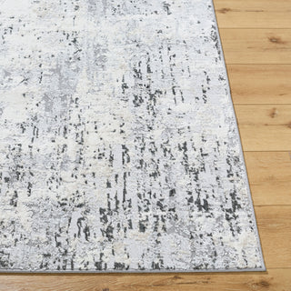 Livabliss Lustro LSR-2329 Light Gray Area Rug Angle