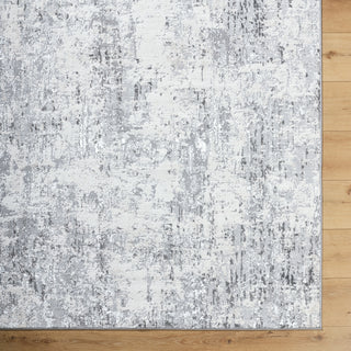 Livabliss Lustro LSR-2329 Light Gray Area Rug 