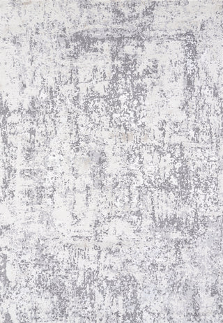 Livabliss Lustro LSR-2334 Light Silver Area Rug main image