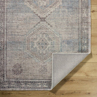 Livabliss Luton LTN-2301 Dusty Rose Area Rug Pile