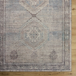 Livabliss Luton LTN-2301 Dusty Rose Area Rug 