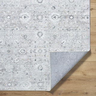 Livabliss Lorenz LTZ-2303 Area Rug by Surya Pile