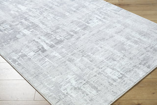 Livabliss Lorenz LTZ-2304 Area Rug by Surya Corner Shot