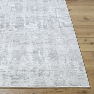 Livabliss Lorenz LTZ-2304 Area Rug by Surya Angle
