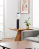 Surya Lubango LUB-001 Lamp Style Shot Feature