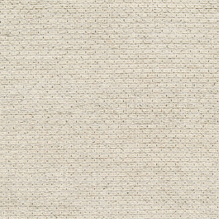 Surya Lumi LUM-2300 Area Rug Swatch