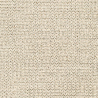 Surya Lumi LUM-2303 Area Rug Swatch