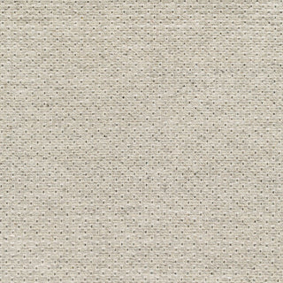 Surya Lumi LUM-2304 Area Rug Swatch