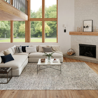 Nourison Luna LUN01 Grey Silver Area Rug by Reserve Collection 
