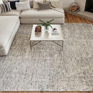 Nourison Luna LUN01 Grey Silver Area Rug by Reserve Collection 