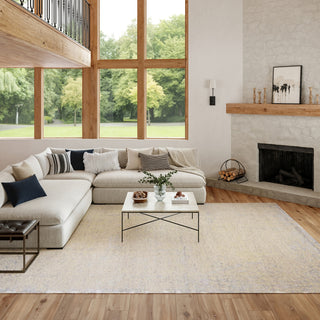 Nourison Luna LUN01 Ivory Silver Blue Area Rug by Reserve Collection 