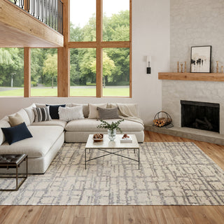 Nourison Luna LUN02 Ivory Grey Area Rug by Reserve Collection 