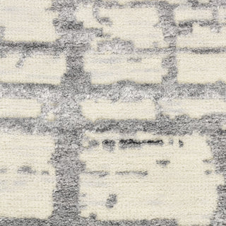 Nourison Luna LUN02 Ivory Grey Area Rug by Reserve Collection 