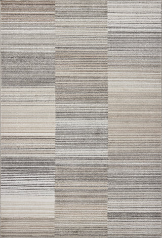 Loloi Lune LUN-03 Granite / Natural Area Rug main image