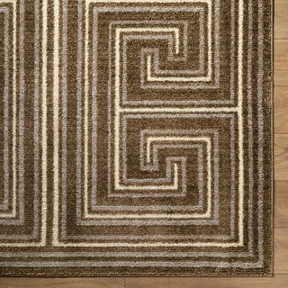 Livabliss La Luna LUU-2311-Taupe-Ivory-Chocolate Brown Area Rug 