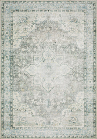 Livabliss Lavable LVB-2313 Light Grey Area Rug