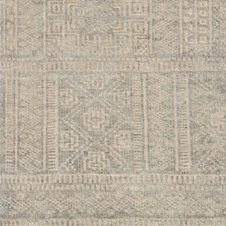 Surya Livorno LVN-2302 Area Rug Swatch