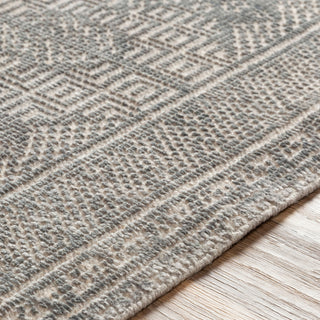 Surya Livorno LVN-2302 Area Rug Detail