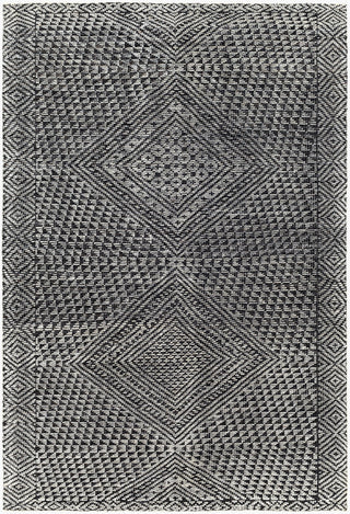 Surya Livorno LVN-2305 Area Rug main image