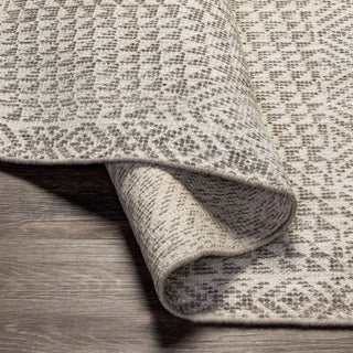 Surya Livorno LVN-2306 Area Rug Pile