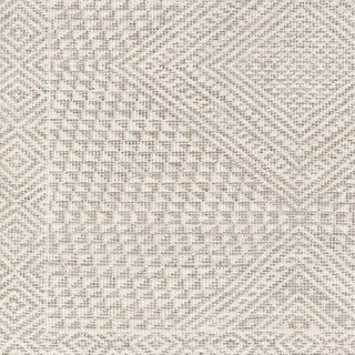 Surya Livorno LVN-2306 Area Rug Swatch