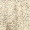 Nourison Luxurious Shag LXR01 Ivory Beige Area Rug Swatch Image