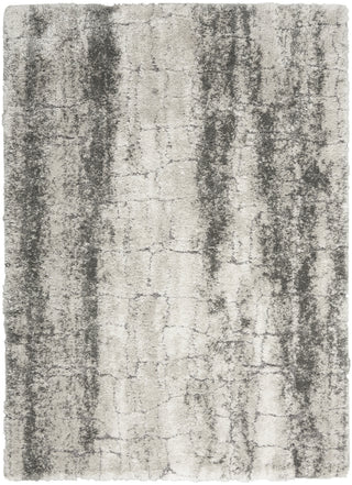 Nourison Luxurious Shag LXR01 Ivory/Charcoal Area Rug main image
