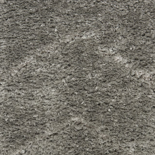 Nourison Luxurious Shag LXR03 Grey Area Rug Swatch Image