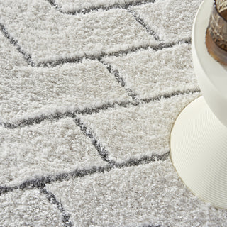 Nourison Luxurious Shag LXR03 Ivory/Grey Area Rug Corner Image