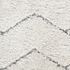 Nourison Luxurious Shag LXR03 Ivory/Grey Area Rug Swatch Image
