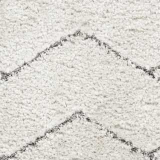 Nourison Luxurious Shag LXR03 Ivory/Grey Area Rug Swatch Image