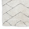 Nourison Luxurious Shag LXR03 Ivory/Grey Area Rug Texture Image