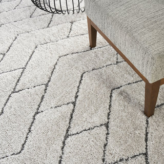 Nourison Luxurious Shag LXR03 Ivory/Grey Area Rug Corner Image
