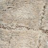 Nourison Luxurious Shag LXR09 Ivory Beige Area Rug Texture