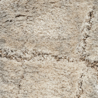 Nourison Luxurious Shag LXR09 Ivory Beige Area Rug Texture