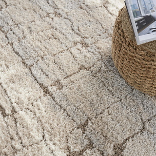 Nourison Luxurious Shag LXR09 Ivory Beige Area Rug Close Up 2