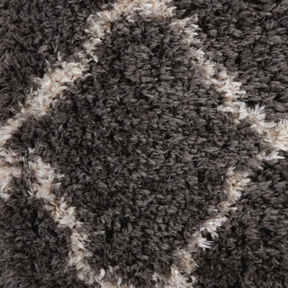 Nourison Luxe Shag LXS02 Charcoal Beige Area Rug Swatch Image